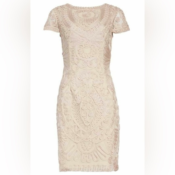 JS Collections Dresses & Skirts - JS Collections Cocktail Dress 2 Light Blush Pink Embroidered Sheer Cap Sleeves